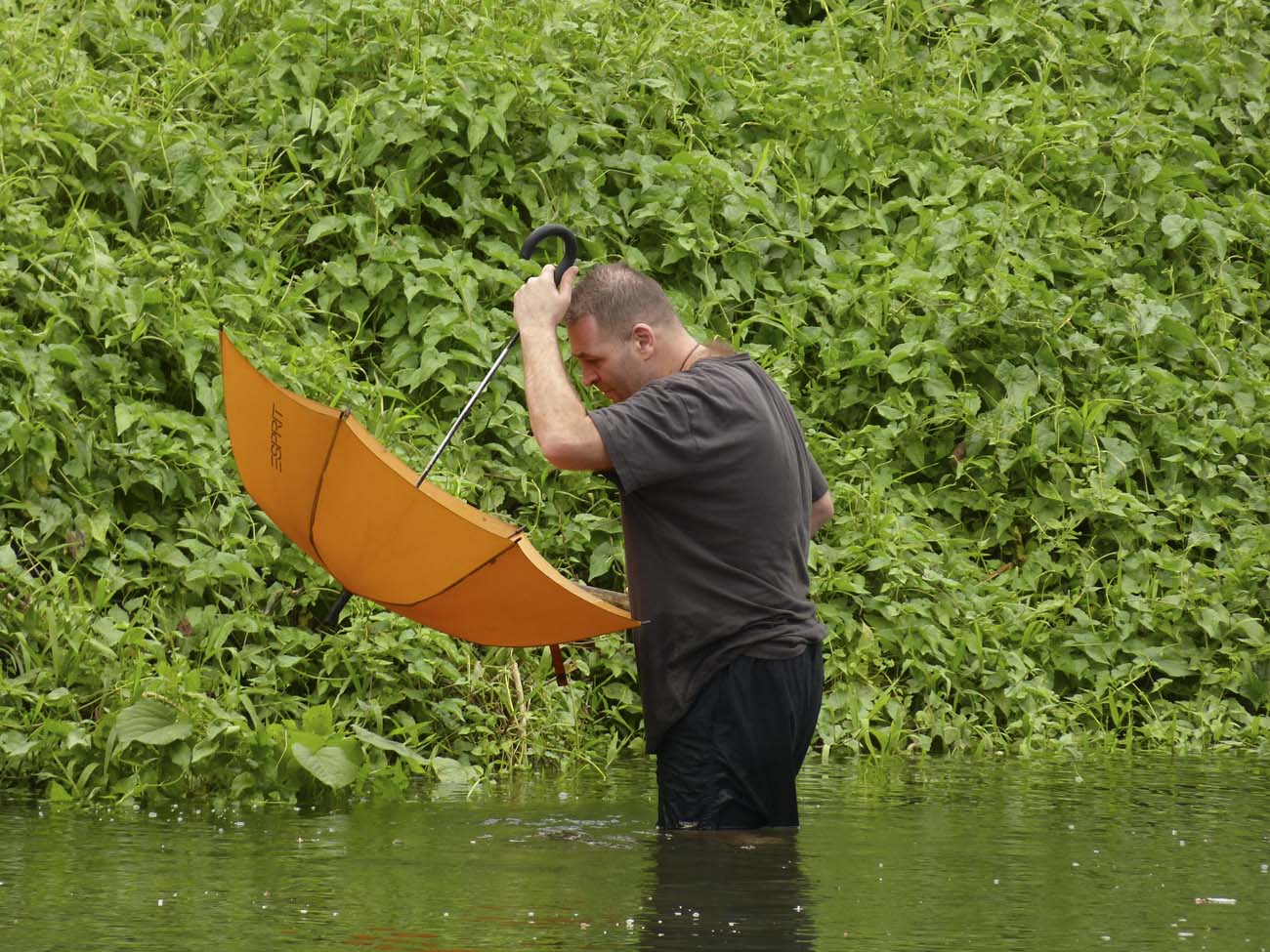 Az Els Prblkozsok   2014