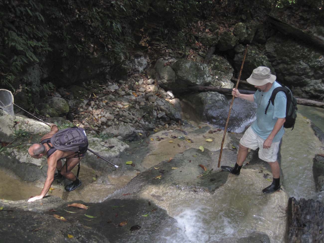 Ereszkeds A Warai On