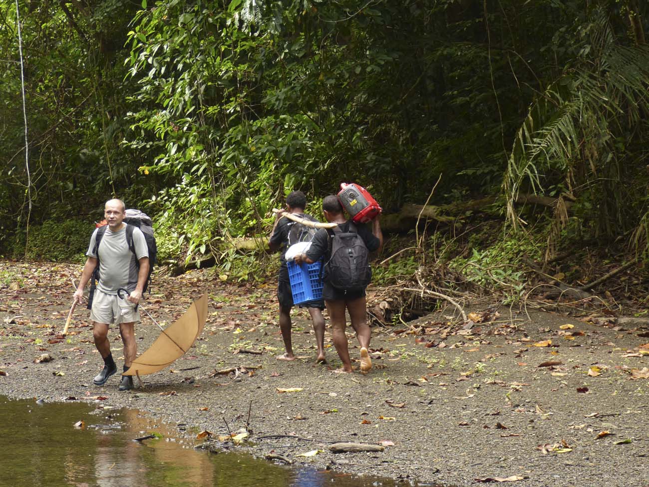 Felfel A Waridoron   2014