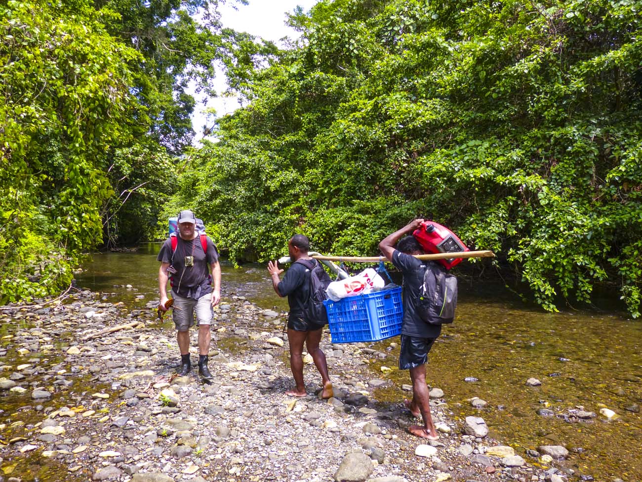 Felfele A Waridoron   2014