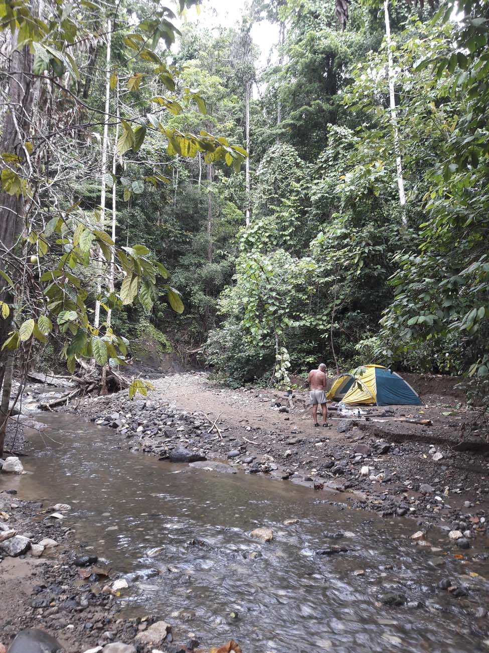 Tbor A Forum Pataknl