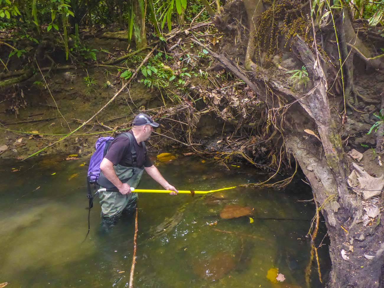 Gyjts Elektromos Halszgppel