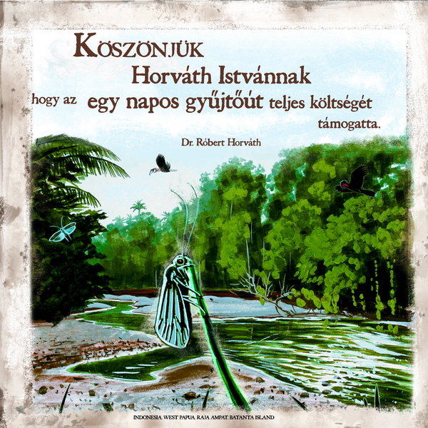 tamogatas alap resize